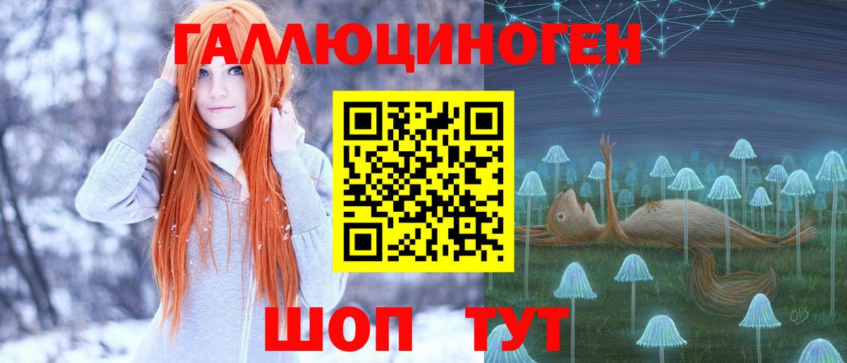 Кизляр  Псилоцибиновые грибы ЛСД  купить наркотик  Вход с VPN 